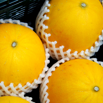 愛知県産　イエローキングメロン