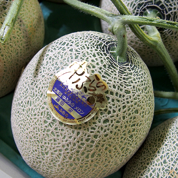 北海道富良野産　メロン