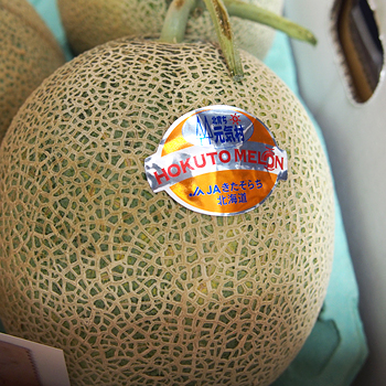 北海道産　ほくとメロン