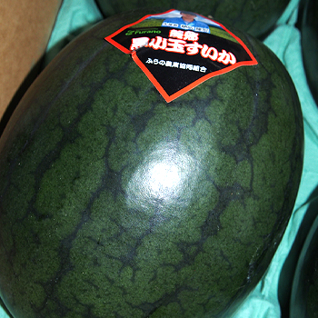 北海道産　黒小玉すいか
