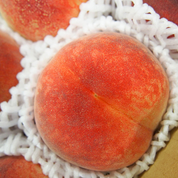 福岡県八女産　桃