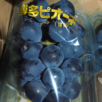福岡県産　ピオーネ