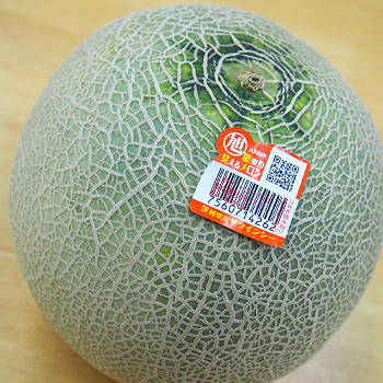 茨城県産　クインシーメロン