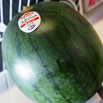 茨城県産　黒こだま西瓜
