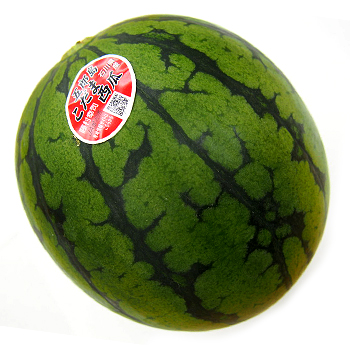石川県産　こだま西瓜