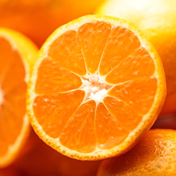 和歌山県産　有田みかん