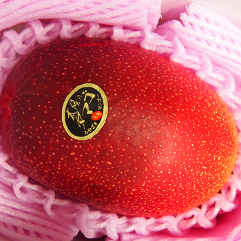 宮崎県産マンゴー　太陽のタマゴ