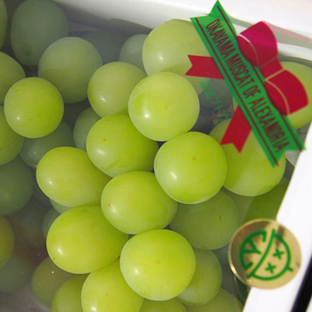 岡山県産　マスカットオブアレキサンドリア