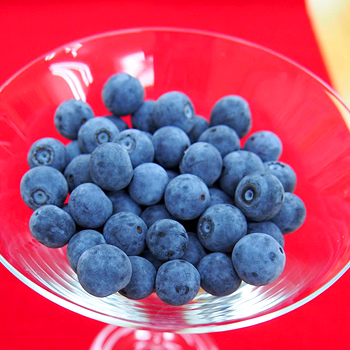 佐賀県産　ブルーベリー