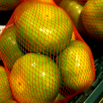 佐賀県産　グリーンハウスみかん