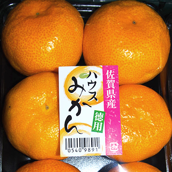 佐賀県産　ハウスみかん