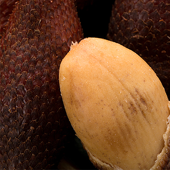 スネークフルーツ