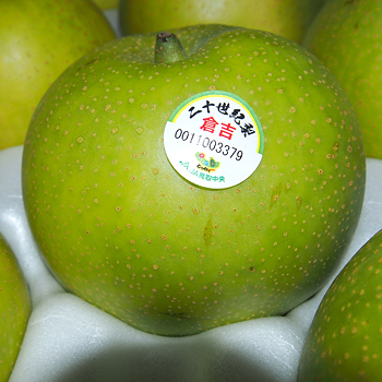 鳥取県産　二十世紀梨