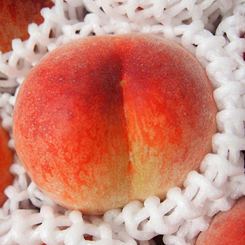 和歌山県産　桃