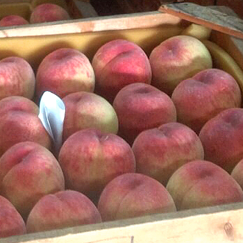 和歌山県あらかわ産　桃