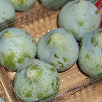 山梨県産　ケルシー