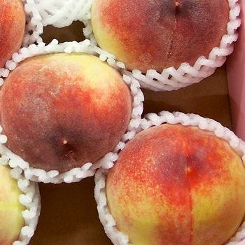 山梨県御坂産　桃