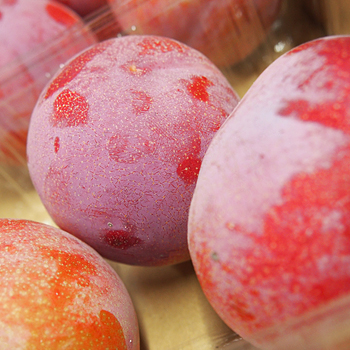 山梨県産　プラム　サマーエンジェル