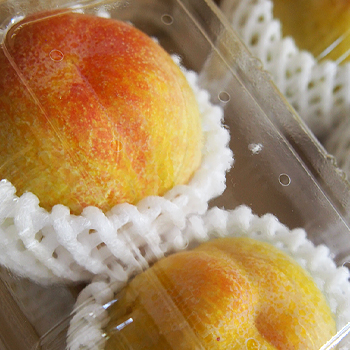 山梨県産　プラム　サマーピュート